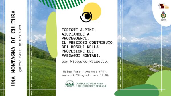 Foreste alpine: aiutiamole a proteggerci